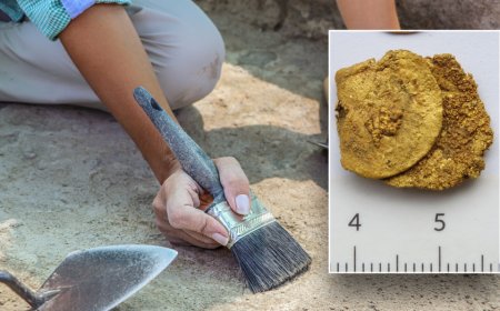 Archaeologists stumble upon priceless gold coins in unusual location