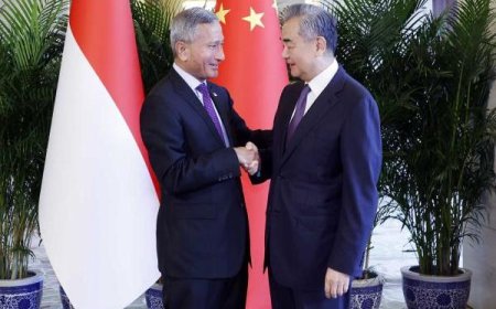 王毅會新加坡外長維文 將規劃下階段高層往來