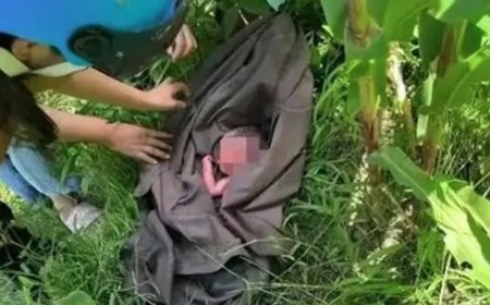 四川玉米地發現剛出生女棄嬰：臍帶未剪、骨折、身上有大面積曬傷