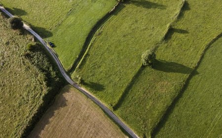 老爸想傳兒子 「贈與」好？還是「信託」好？