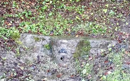 What’s in a name? Resistance to genocide