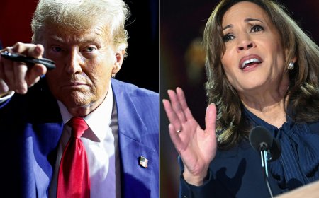 Trump-Harris face-off: Do presidential debates change voter preferences?