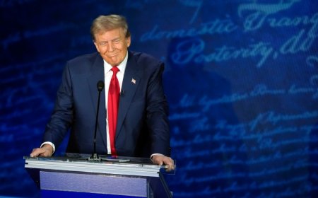 Trump on ObamaCare repeal: 'I have concepts of a plan'