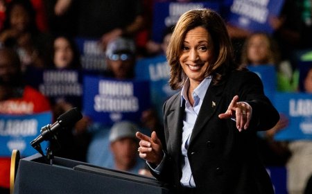 Progressive outlet fed up with Harris’ ‘safe’ campaign: ‘Looks like she doesn’t stand for anything’