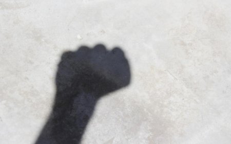 律师解读女格斗员遭猥亵：这个“手”到底该不该“还”？