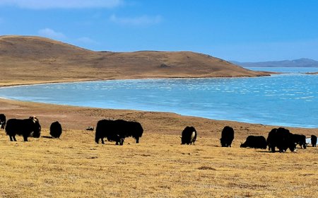 国家公园法草案首次提请审议