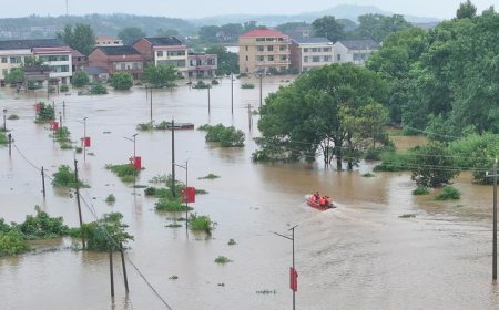 灾害预警下，拿什么让民宿老板自发转移住客？丨 见识