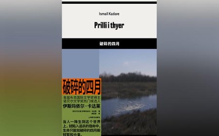 破产法的温度｜拉弗什高原的血债如何血偿？