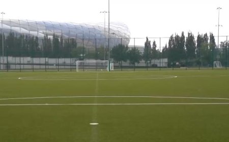 44人终身禁止从事足球行业，如何进一步震慑足球“假赌黑”？