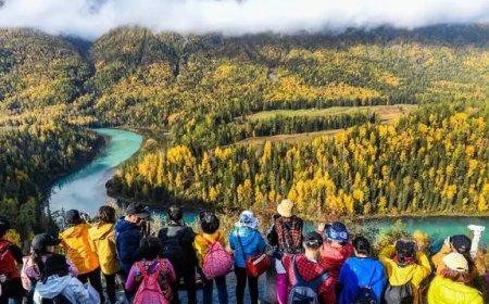 人民日报评论：遵从社会时钟与寻找人生旷野，是两难问题么？