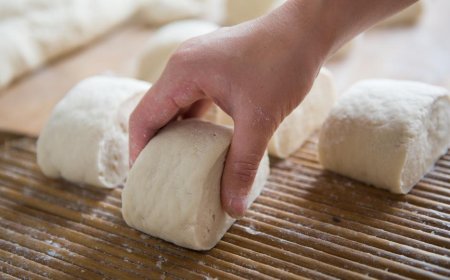 夜读丨面包与馒头