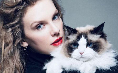 美国总统大选首场电视辩论后，“顶流”霉霉宣布支持哈里斯