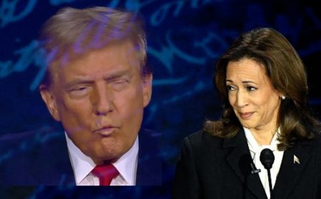 表情包大战！哈里斯VS特朗普，就美国内政外交正面交锋