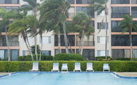 夜读丨在泳池边参与一场雨