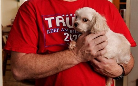 「俄亥俄的海地移民吃寵物」？川普在總統辯論脫口而出的毛孩謠言