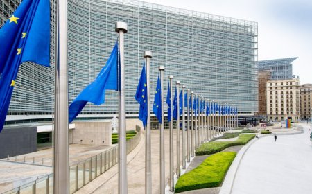 Google與蘋果的歐盟訴訟雙雙失利，將分別支付24億歐元罰款與130億歐元的稅金