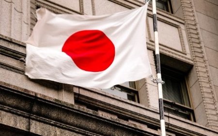 Surfer To 'Trump Whisperer': Who Can Become Japan's Next Prime Minister?