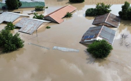 Floods in northeastern Nigeria affect one million people