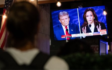 Who won the Harris-Trump US presidential election debate?