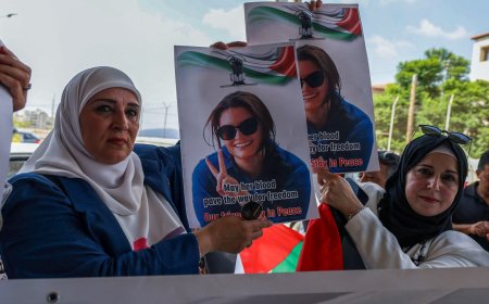 Kamala Harris decries ‘tragic’ killing of US citizen by Israeli forces