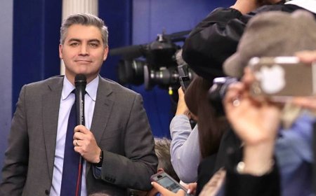 CNN's Acosta repeatedly cuts off GOP strategist: 'This ain't C-SPAN'