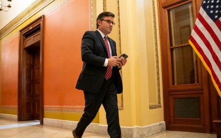 Johnson yanks stopgap bill