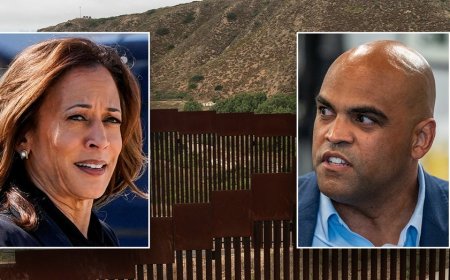 Texas Dem's Senate ad features border wall he once blasted as 'racist'