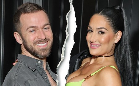 Nikki Bella files for divorce from Artem Chigvintsev after his domestic abuse arrest