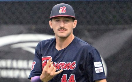 Twins cut prospect after he allegedly told opposing batters pitches that were coming: report