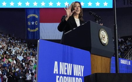 Kamala Harris pressed by some allies to do more interviews: 'I don’t think you can hide for 56 more days'