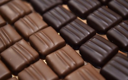 Dark vs. milk chocolate: Americans love one more than the other, but which is 'better' for you?