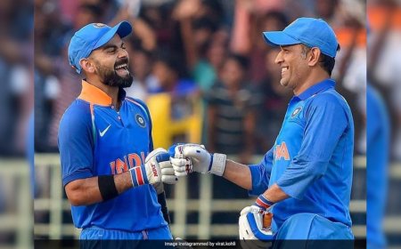 Virat Kohli, MS Dhoni Ignored As Yuvraj Singh Picks This India Star "To Bat For His Life"