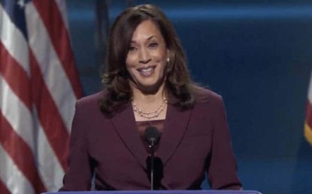 What We Know About US Vice President Kamala Harris' Gun