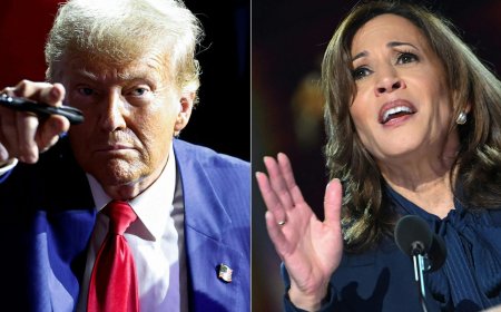 Has this been a defining week in the US presidential election campaign?