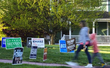 Do campaign yard signs even make a difference?