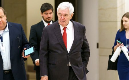 Gingrich: Harris acted like 'spoiled teenager' at debate