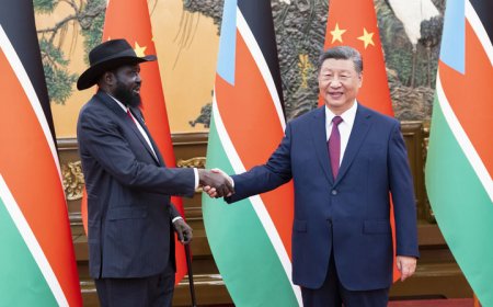 习近平会见南苏丹总统基尔