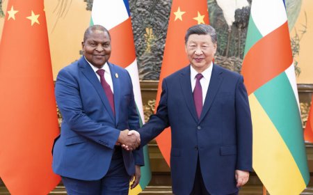 习近平会见中非总统图瓦德拉