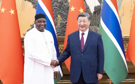 习近平会见冈比亚总统巴罗