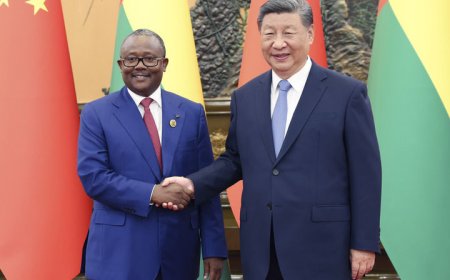 习近平会见几内亚比绍总统恩巴洛