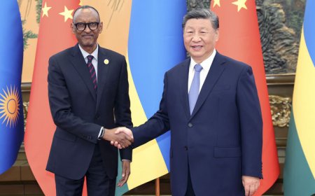 习近平会见卢旺达总统卡加梅