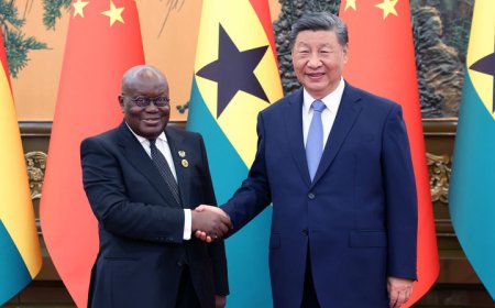 习近平会见加纳总统阿库福-阿多