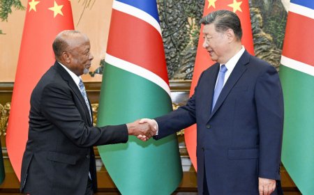 习近平会见纳米比亚总统姆本巴