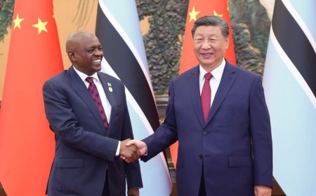 习近平会见博茨瓦纳总统马西西