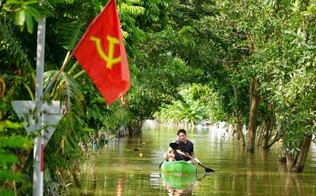Vietnam typhoon death toll rises to 233 as more bodies found in areas hit by landslides, flooding
