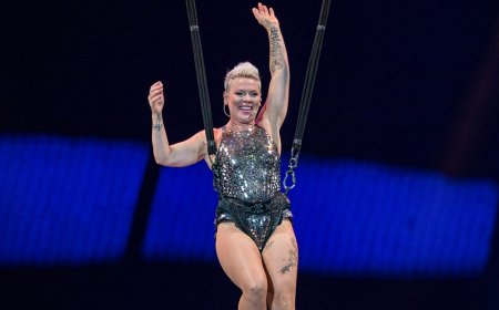 Pink pushes through aerial performance after injuring knee during concert: 'You don't need knees to fly'