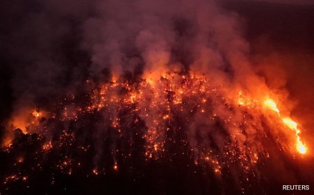 Pics: A Continent Ablaze - South America Surpasses Record For Forest Fires
