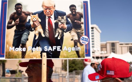 ‘Going backward’: How demonising migrants remains fertile ground in US