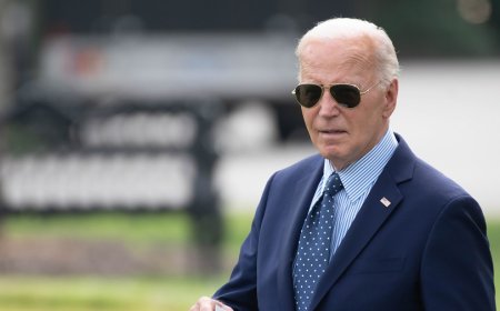 Senate Democrats slam Biden's release of military funds for Egypt over human rights concerns