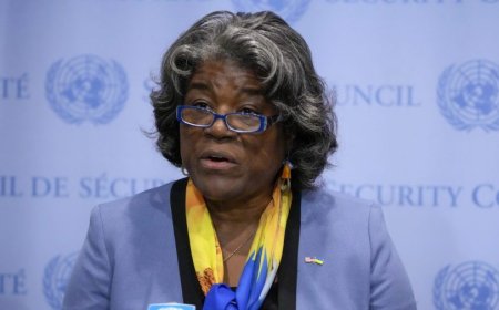 US proposes 2 permanent seats for Africa on UN Security Council